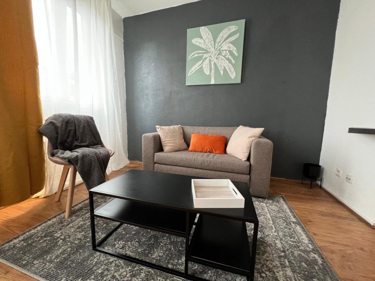 Mon Palmier Grand Appartement Parking Un-Sejour-A-Part Мец Экстерьер фото